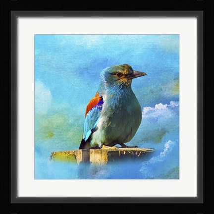 Framed Blue Bird 2A Print