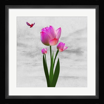 Framed Flower Design 7ABC Print