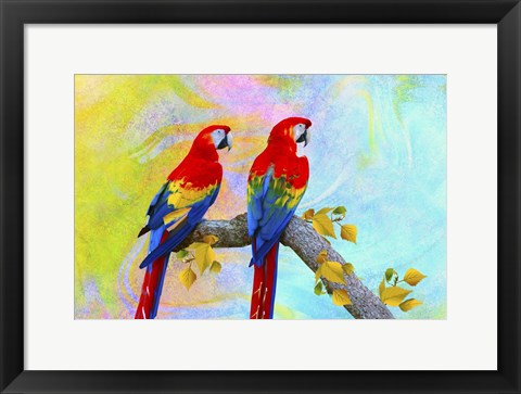 Framed Parrots 87A Print