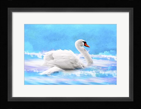 Framed Swan 8A Print