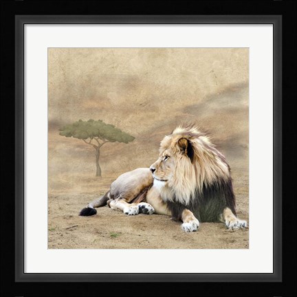 Framed King 1A Print
