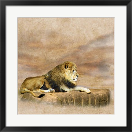 Framed King 1B Print
