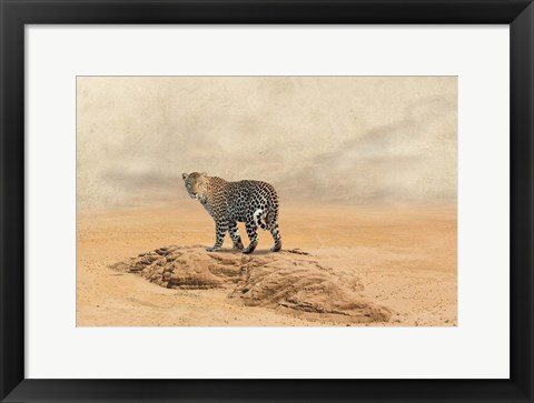 Framed Leopard 2 Print