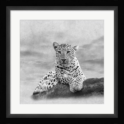 Framed Leopard 2A2 Print
