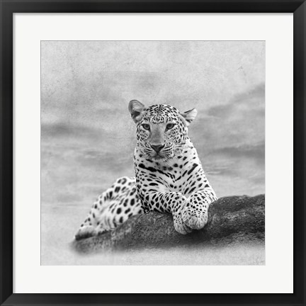 Framed Leopard 2A2 Print