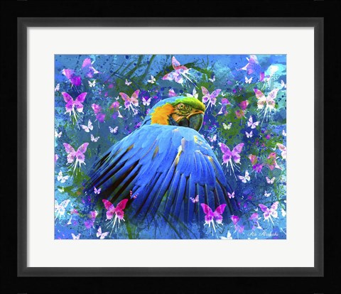 Framed Bird In Color Print