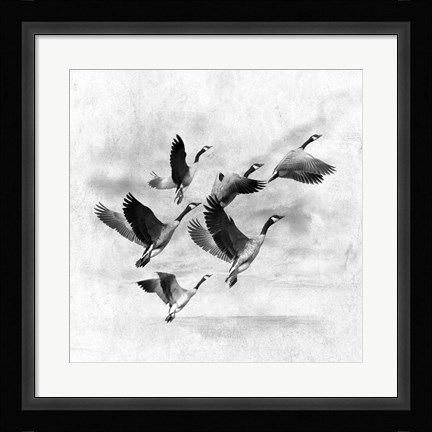 Framed Birds Fly Away 2 Print