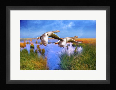 Framed Birds In Nature Print