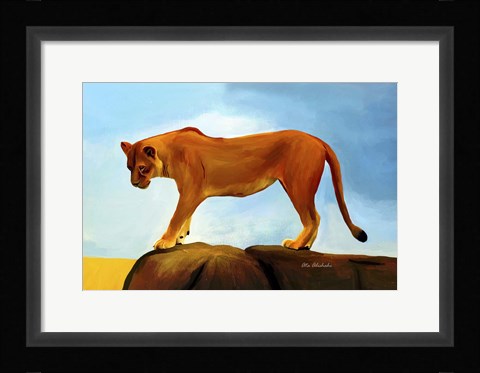 Framed Lioness On A Rock 1 Print