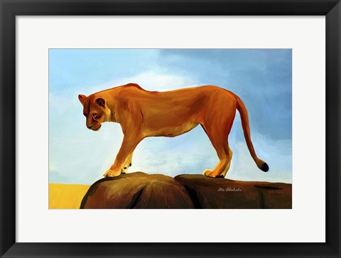 Framed Lioness On A Rock 1 Print