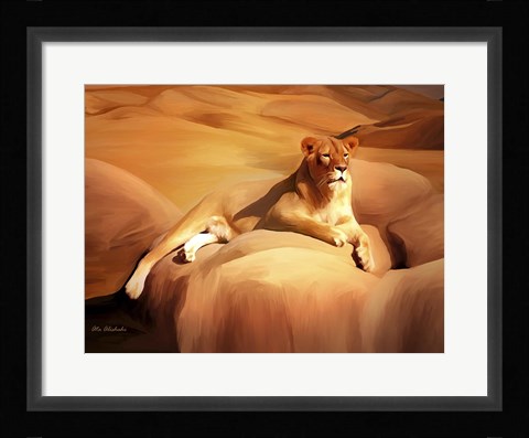 Framed Lioness On A Rock 2 Print