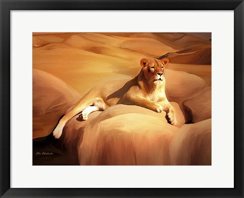 Framed Lioness On A Rock 2 Print