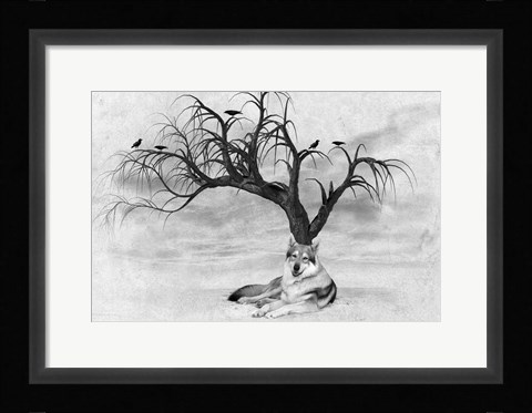 Framed Lone Wolf And Tree Print