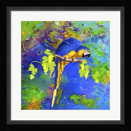 Framed Parrot And Colors Print