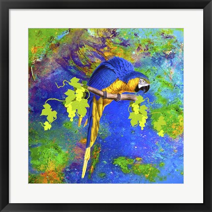 Framed Parrot And Colors Print