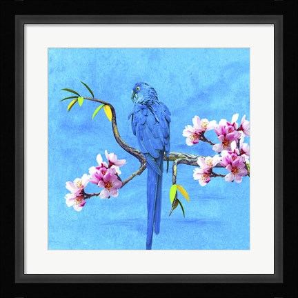 Framed Spring Bird And Flower Print