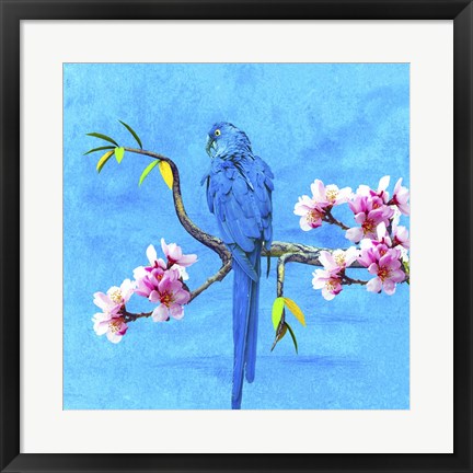 Framed Spring Bird And Flower Print