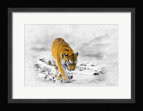 Framed King Tiger Print