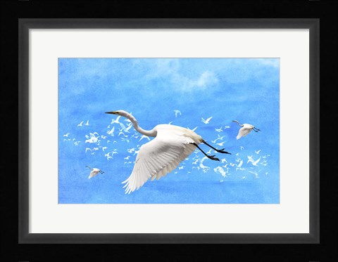 Framed White Birds And Blue Sky Print
