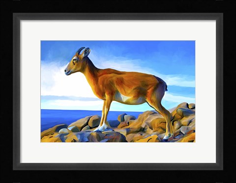 Framed Wild Life 2 Print