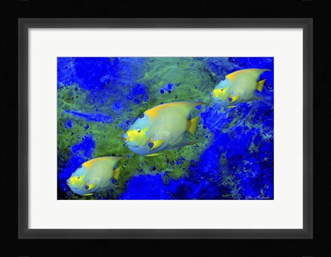 Framed Fish Art 1 Print