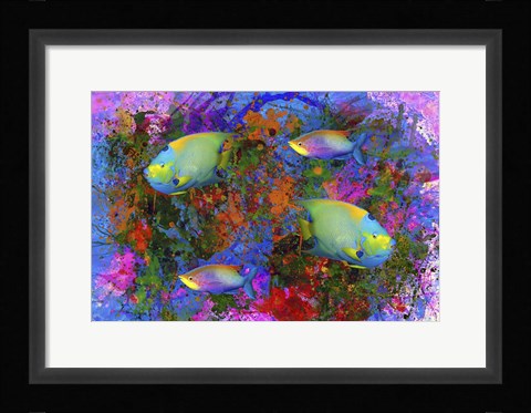 Framed Fish Art 3 Print
