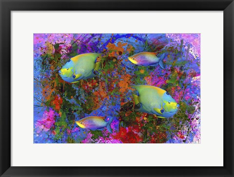 Framed Fish Art 3 Print