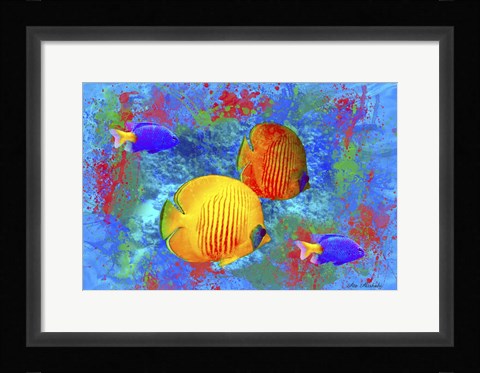 Framed Fish Art 4 Print