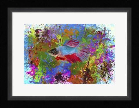 Framed Fish Art 5 Print