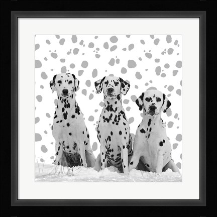 Framed Dalmatian Print