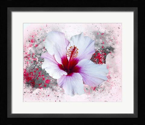 Framed Flower Design 6MN Print