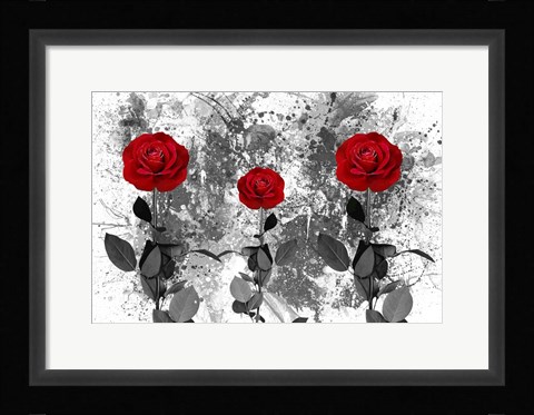 Framed Red Roses Print