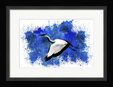 Framed Bird Collection 10 Print