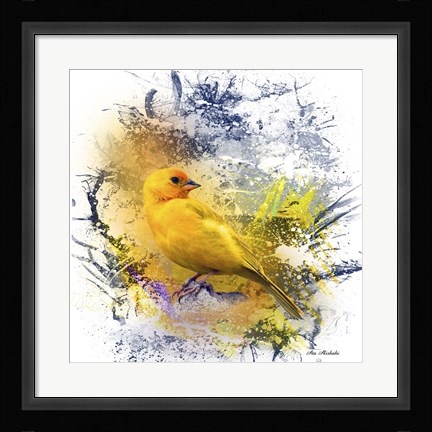 Framed Bird Collection 12 Print