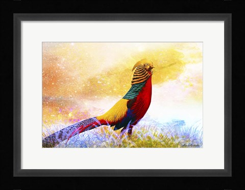 Framed Bird Collection 20 Print