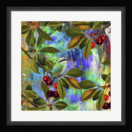 Framed Bird Collection 31 Print