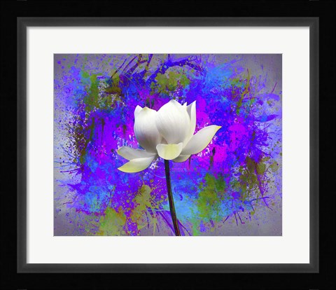 Framed Flowers Explosion SEP3 Print