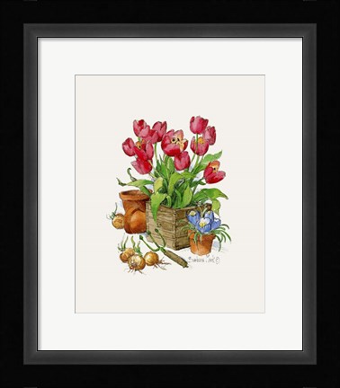 Framed Tulips in Bloom Print