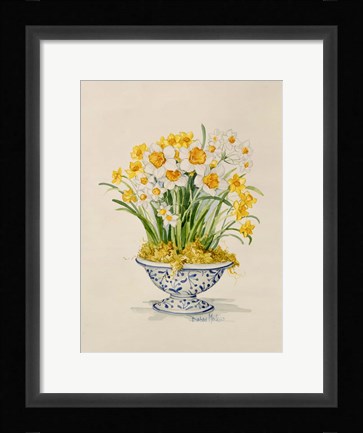Framed Blue and White Porcelain Daffodils Print