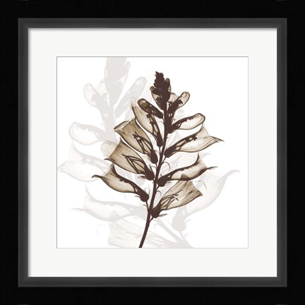 Framed Foxglove Dance Print