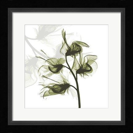 Framed Sweet Pea Dance Print