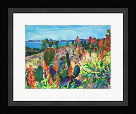 Framed Santa Barbara Grace Print