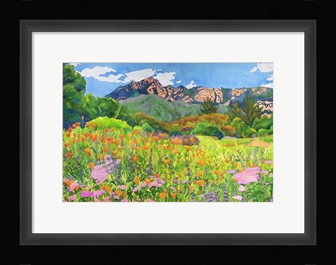 Framed Santa Barbara Botanic Garden Print