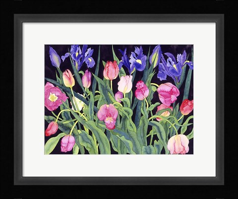 Framed Tulips And Irises Print