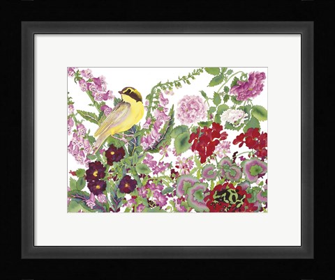 Framed Warbler With Frog Print