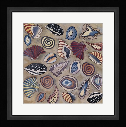 Framed Sea Shells Print
