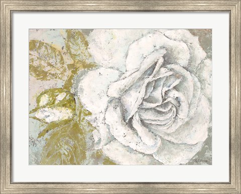 Framed White Rose Blossom Print