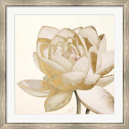 Framed Vintage Lotus Cream II Print