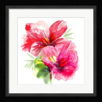 Framed Floral Beauty II Print
