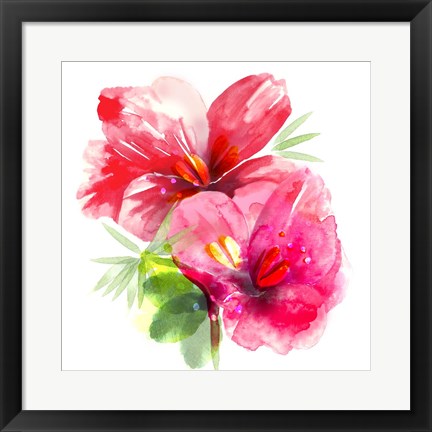 Framed Floral Beauty II Print